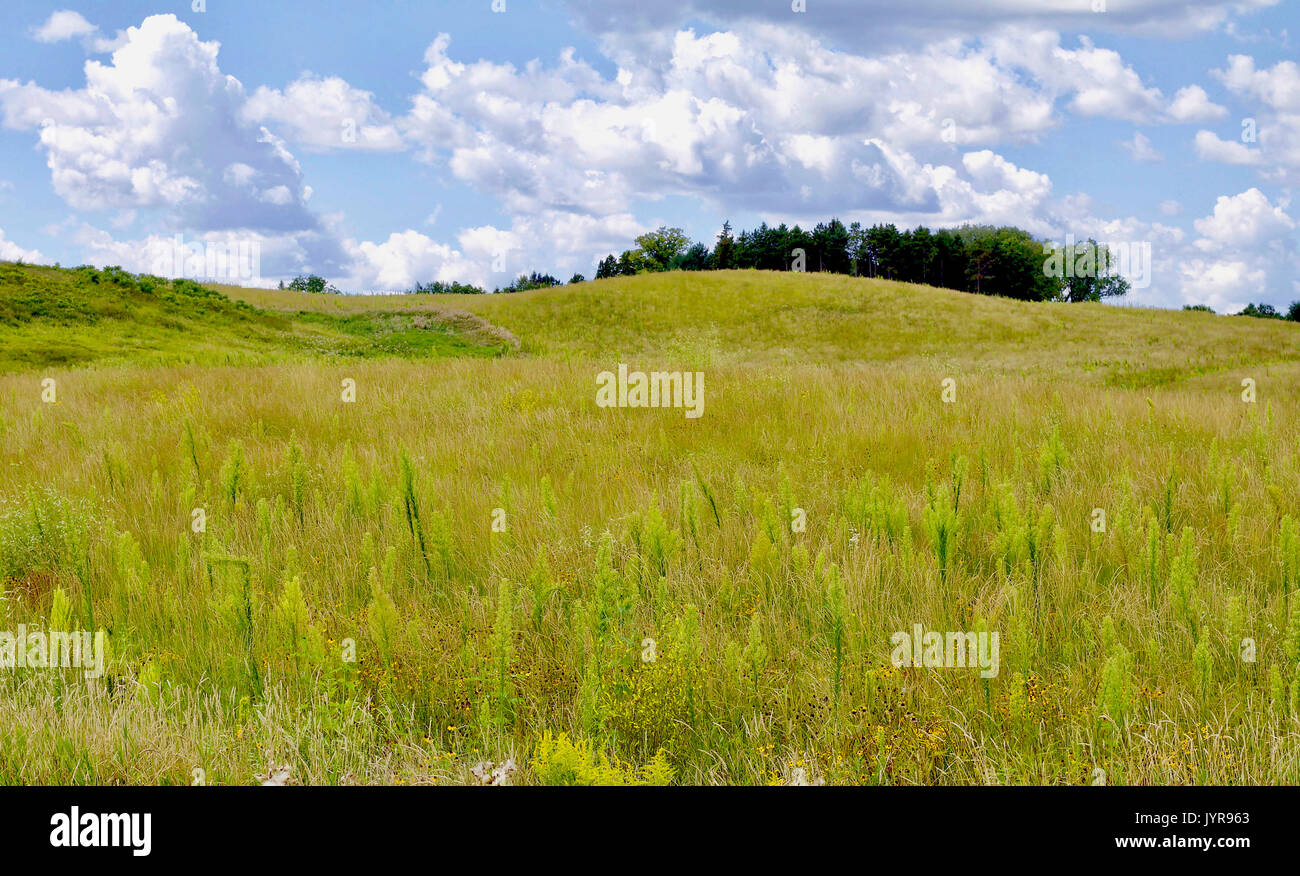 Minnesota rolling praire green grasssy field landscape Stock Photo