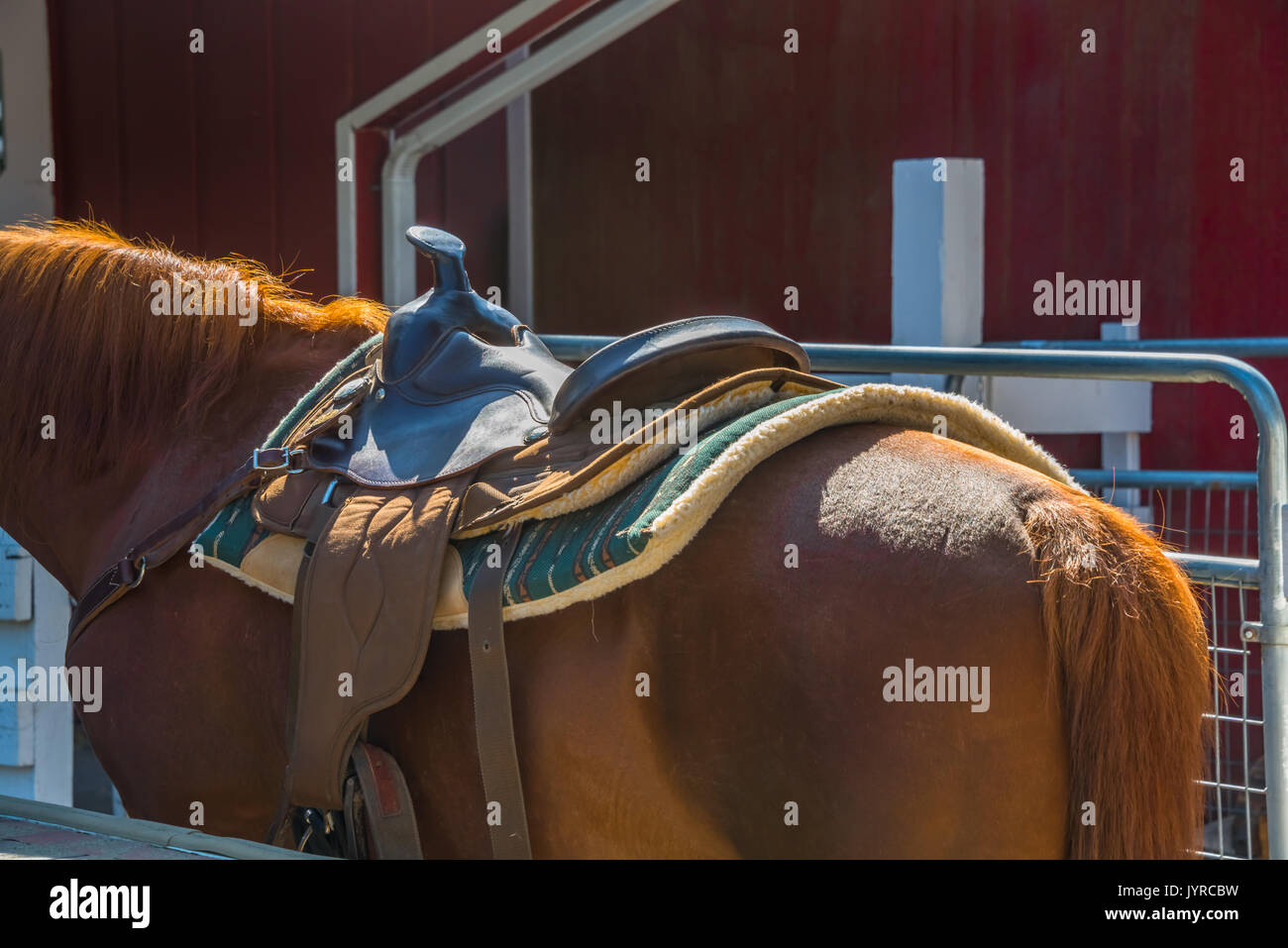 Close Up Of Saddle On Horse In Front Of Red Barn Stock Photo