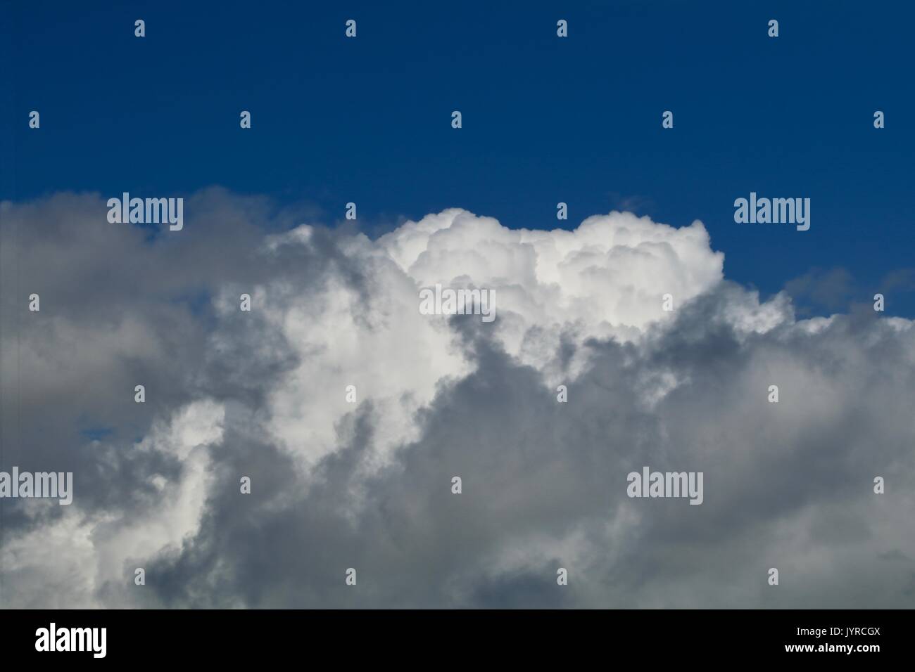 Heavy puffy white clouds against a dark azure sky Stock Photo