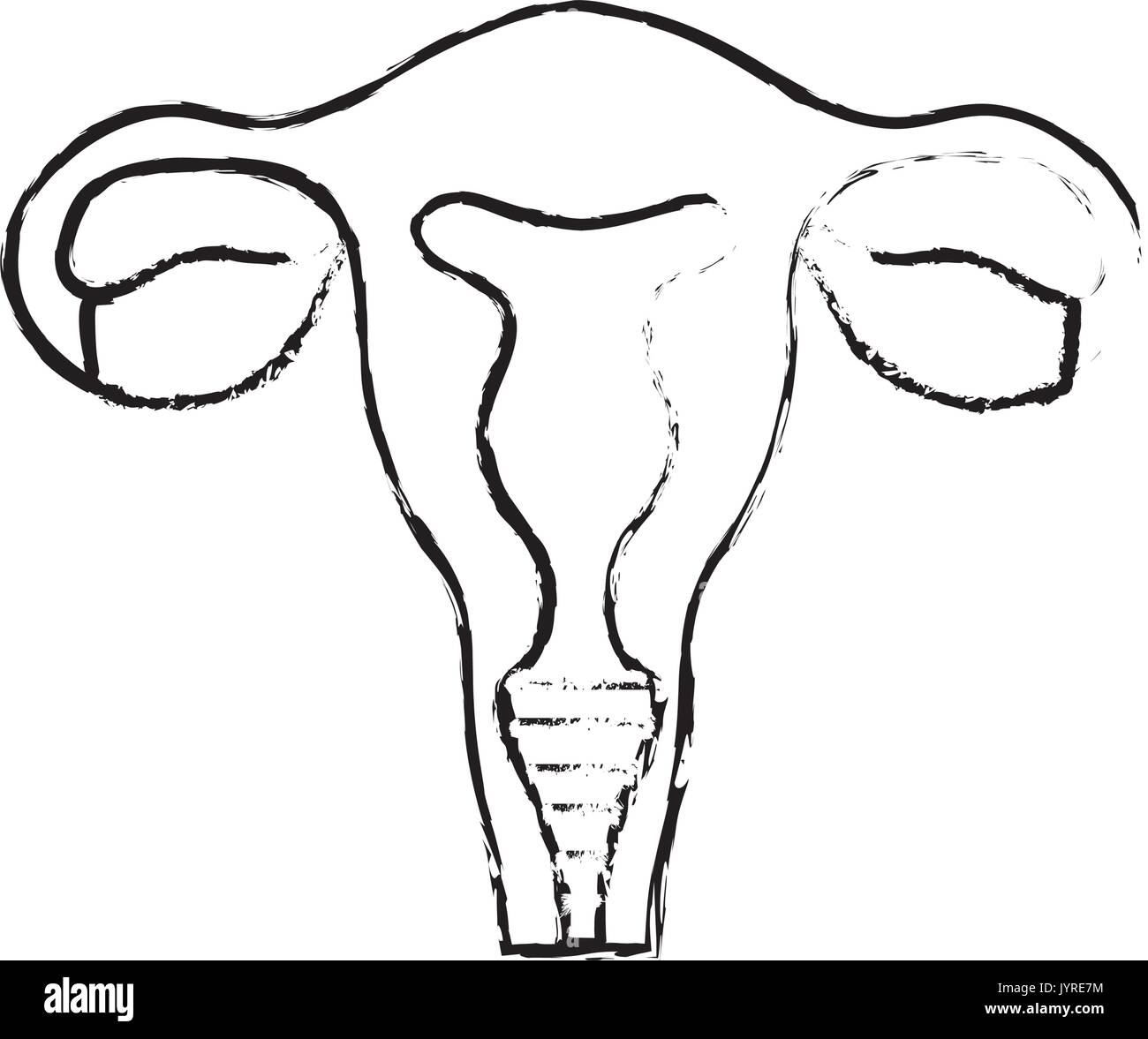 Fallopian Tubes High Resolution Stock Photography and Images Alamy