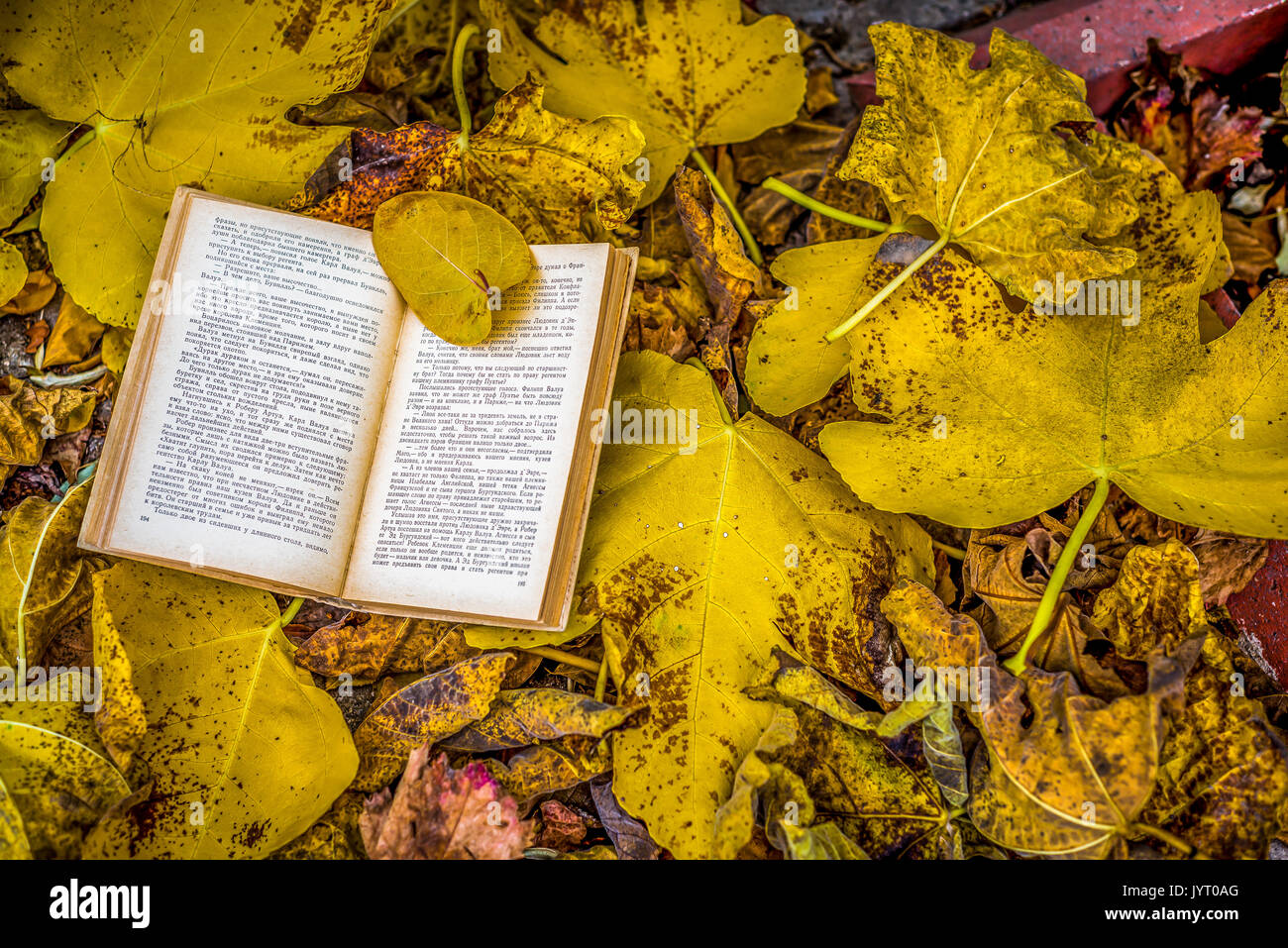 Peaceful book cover hi-res stock photography and images - Alamy