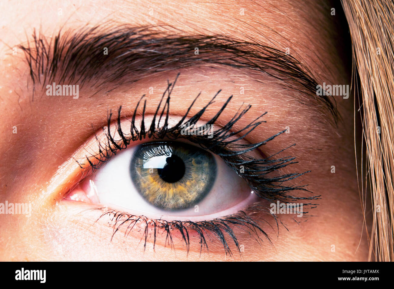 female eye close up Stock Photo