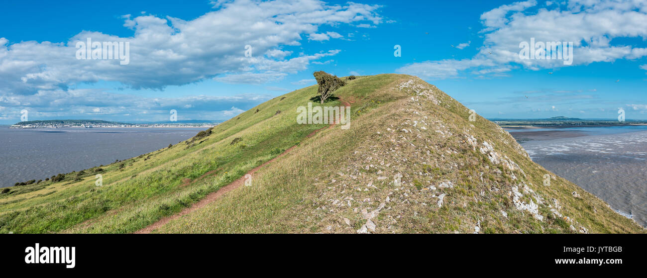brean-down-national-trust-coastline-stock-photo-alamy