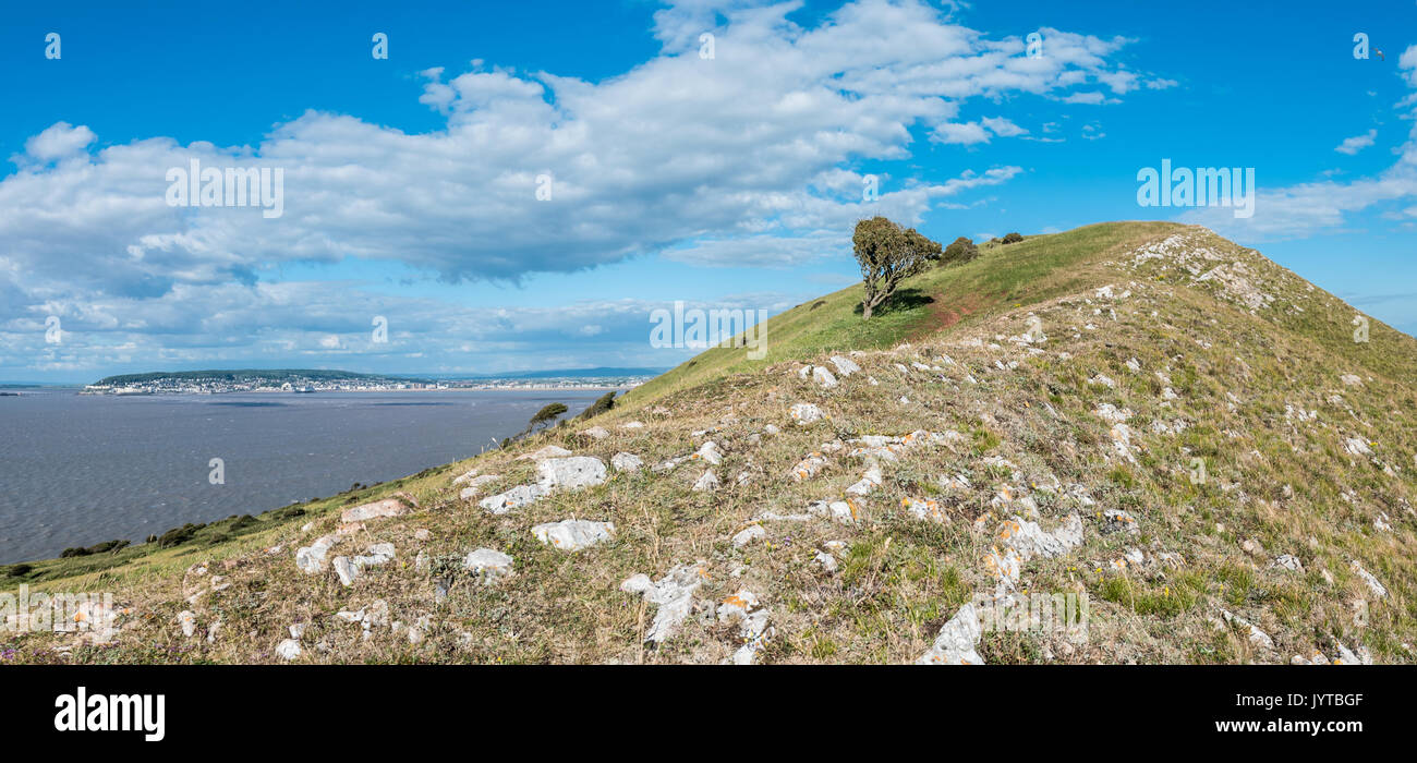 brean-down-national-trust-coastline-stock-photo-alamy