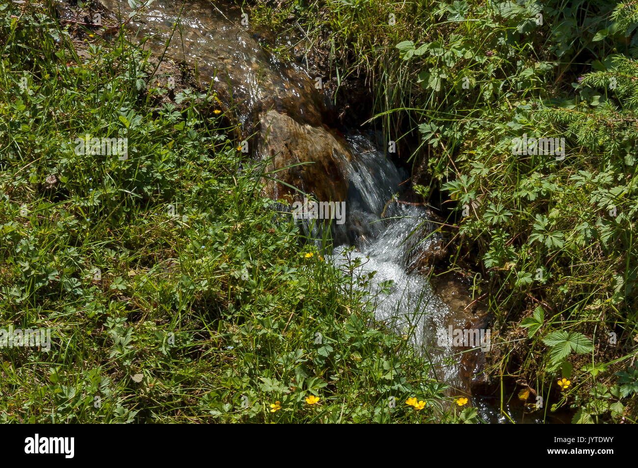 View of motion blurred water stream with waterfall through glade in  Rila mountain, Bulgaria, Europe Stock Photo