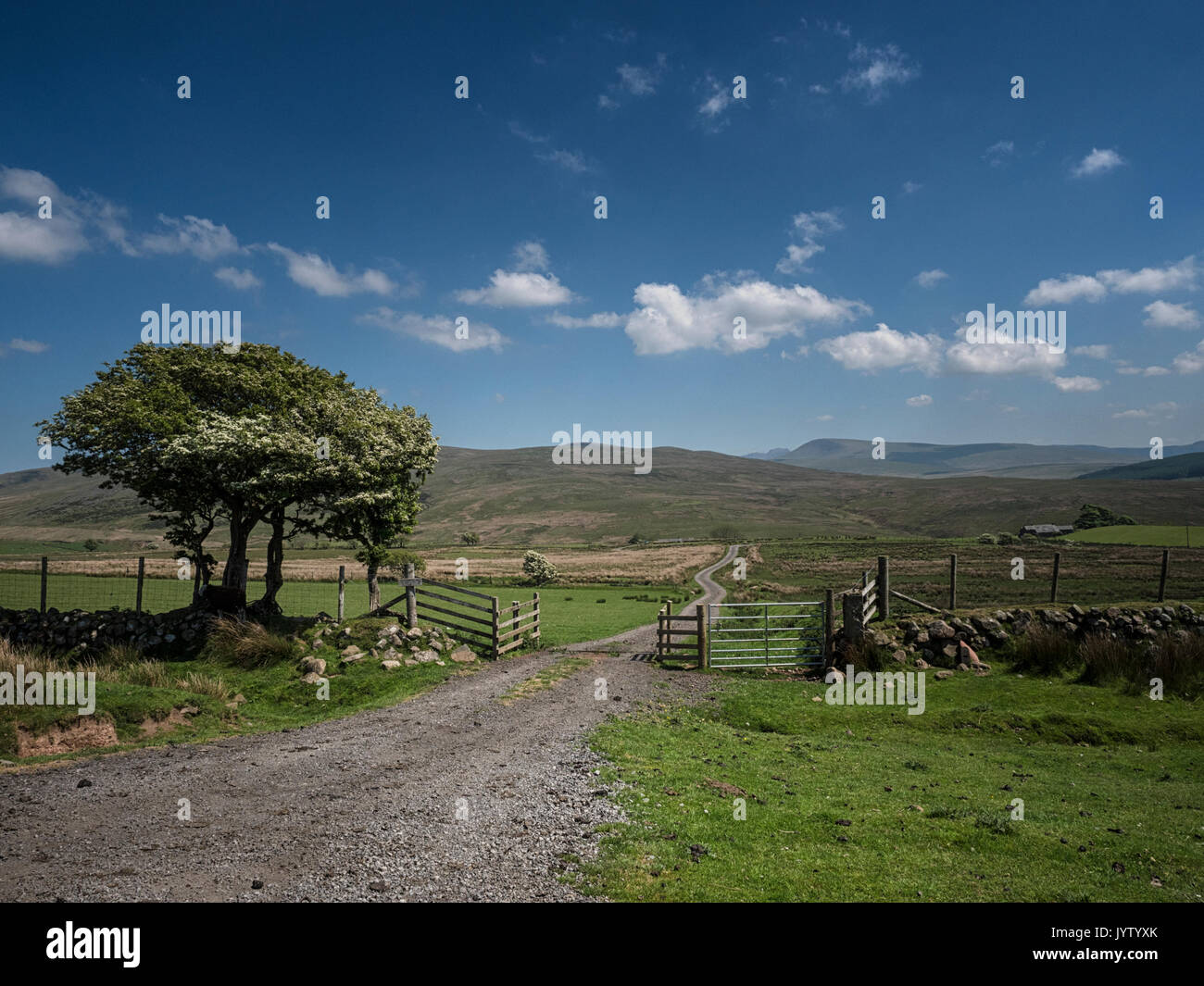 Track to Gill Farm from the Ennerdale Bridge to Calder Bridge road