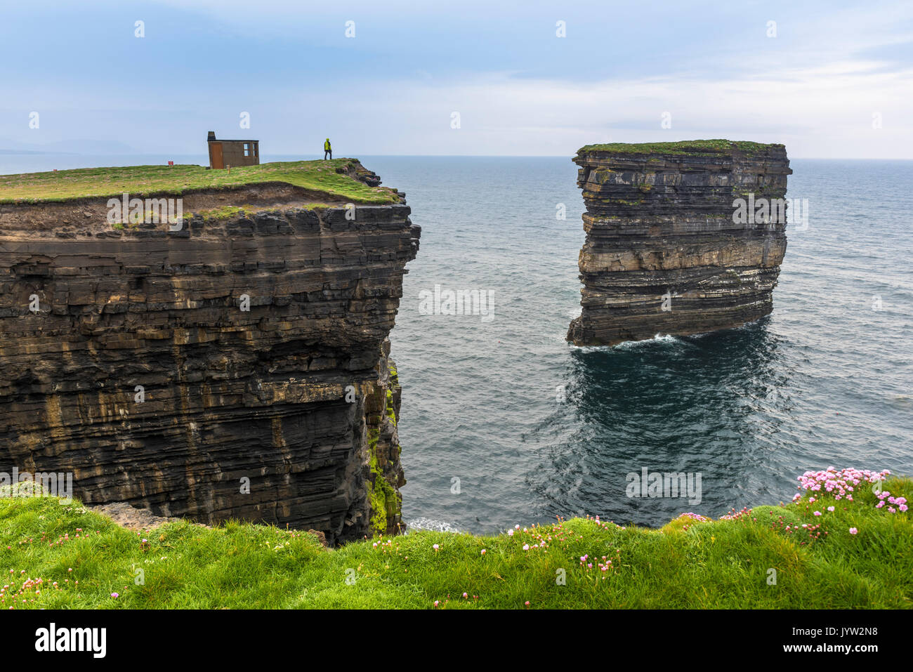 Downpatrick Head, Ballycastle, County Mayo, Donegal, Connacht region,  Ireland, Europe. A man watching the sea stack from the top of the cliff  Stock Photo - Alamy