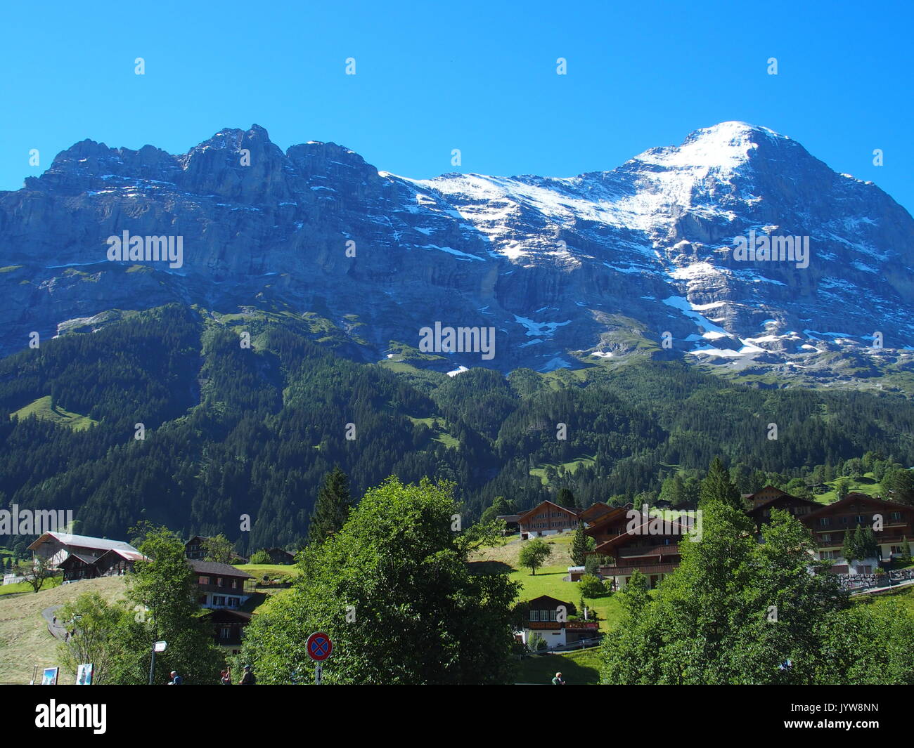 Alpine Mountains Range Landscape Near Grindelwald Village In Beauty