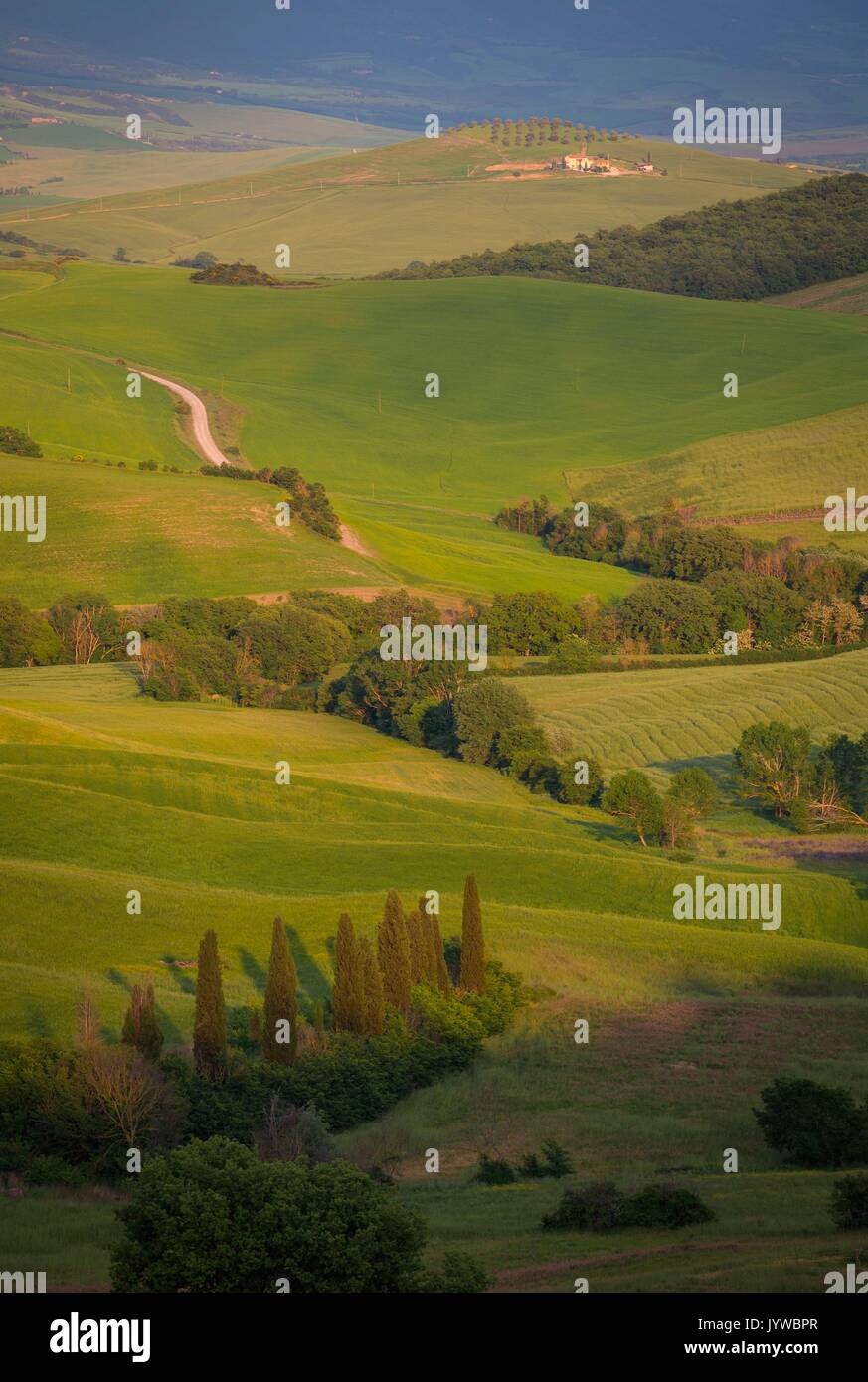 San Quirico d'Orcia, Tuscany, Italy. Path, cypresses and hills, during a warm sunrise. Stock Photo