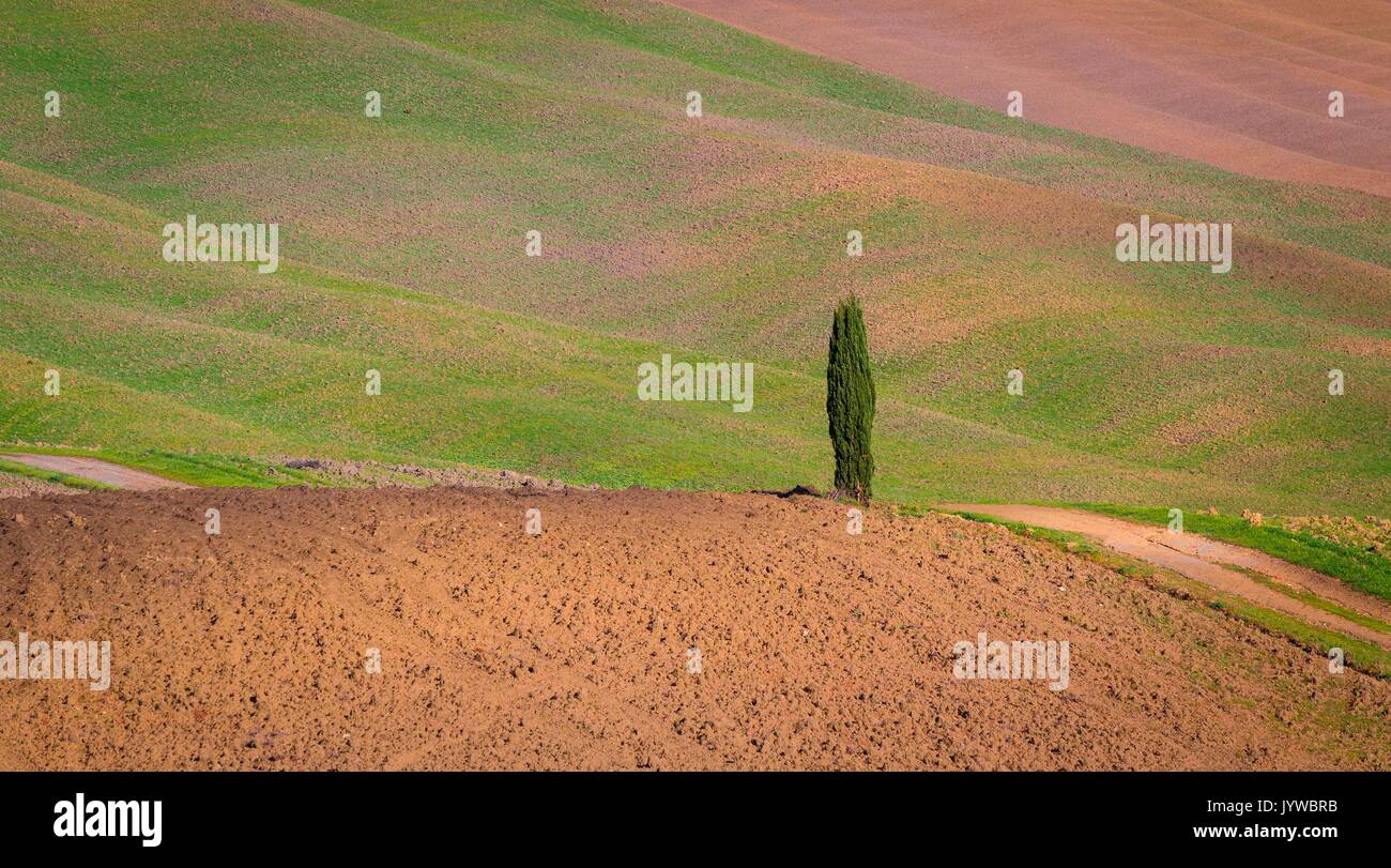 San Quirico d'Orcia, Tuscany, Italy. Cypresses and hills, during a sunny day. Stock Photo