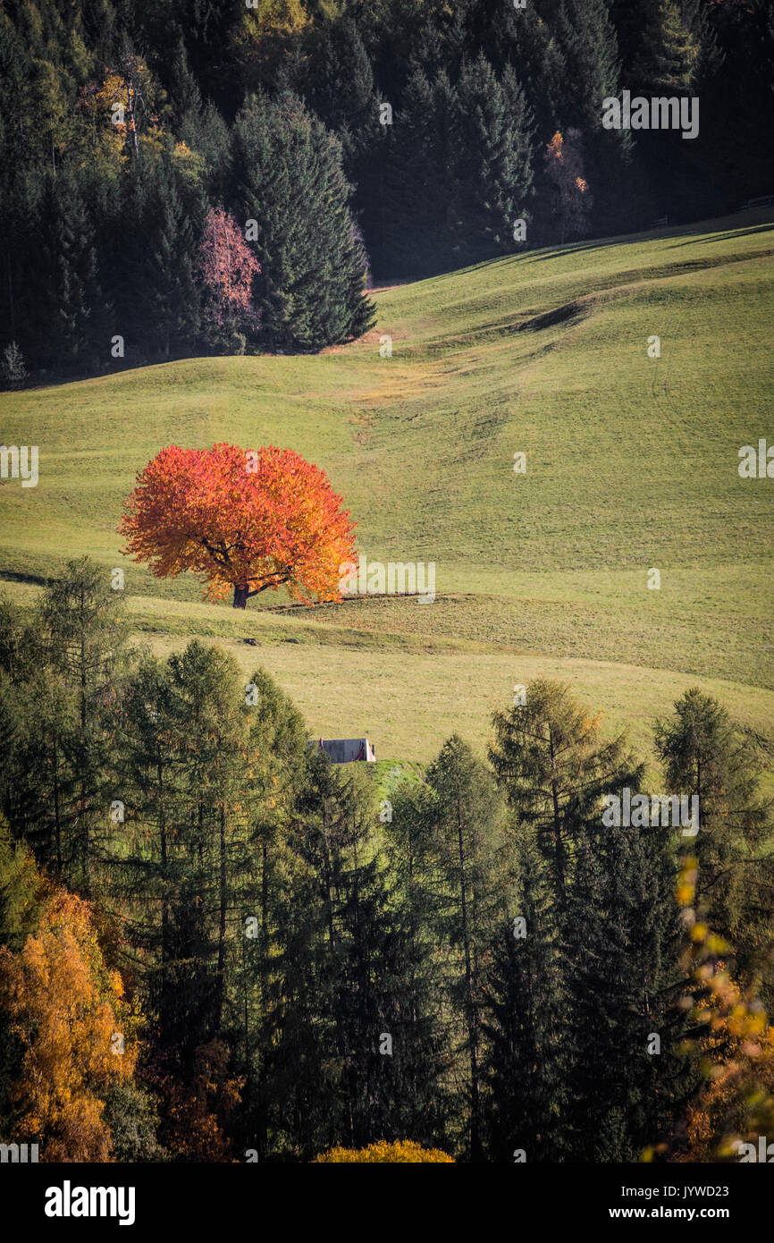 Val di Funes, Trentino Alto Adige, Italy Stock Photo