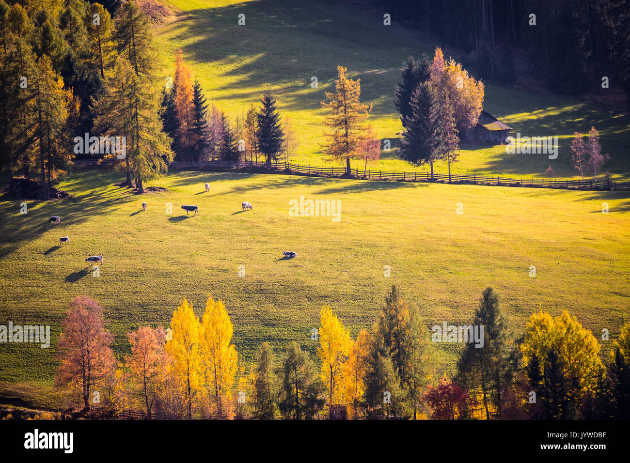 Val di Funes, Trentino Alto Adige, Italy Stock Photo