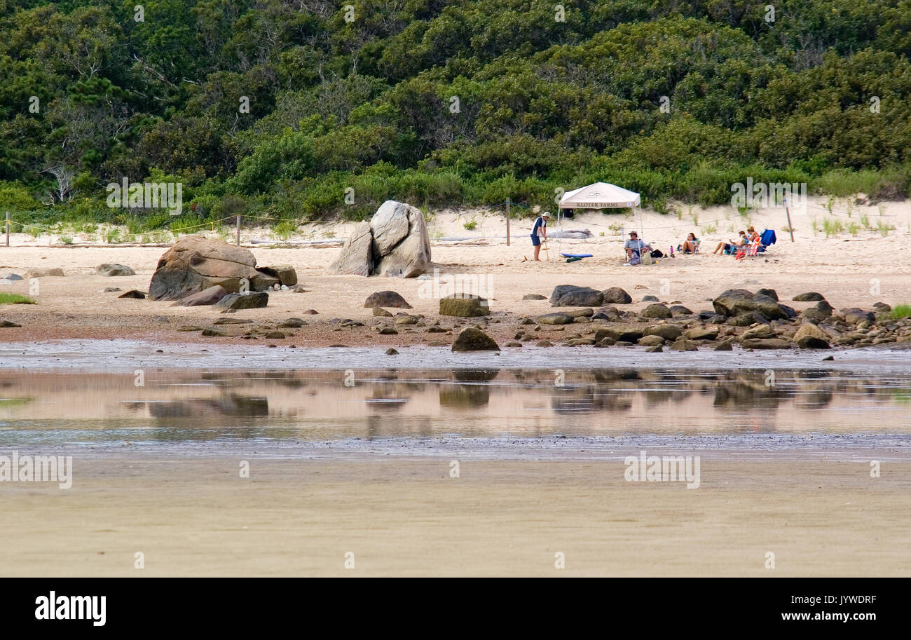 Cold Storage Beach Dennis, MA Cape Cod Stock Photo Alamy