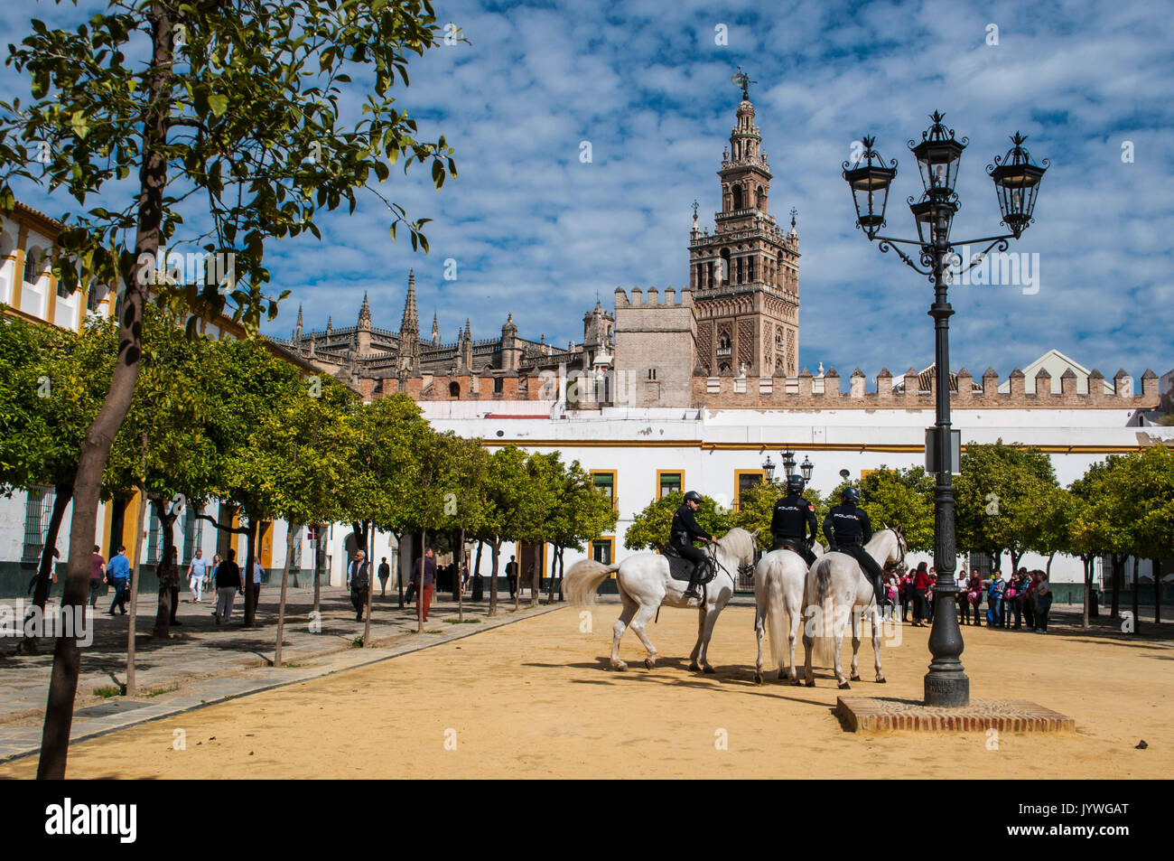 Spain: police officers on horseback on the sand in the Courtyard of the Flags, in the Jewish quarter of Seville, with view of the Giralda bell tower Stock Photo
