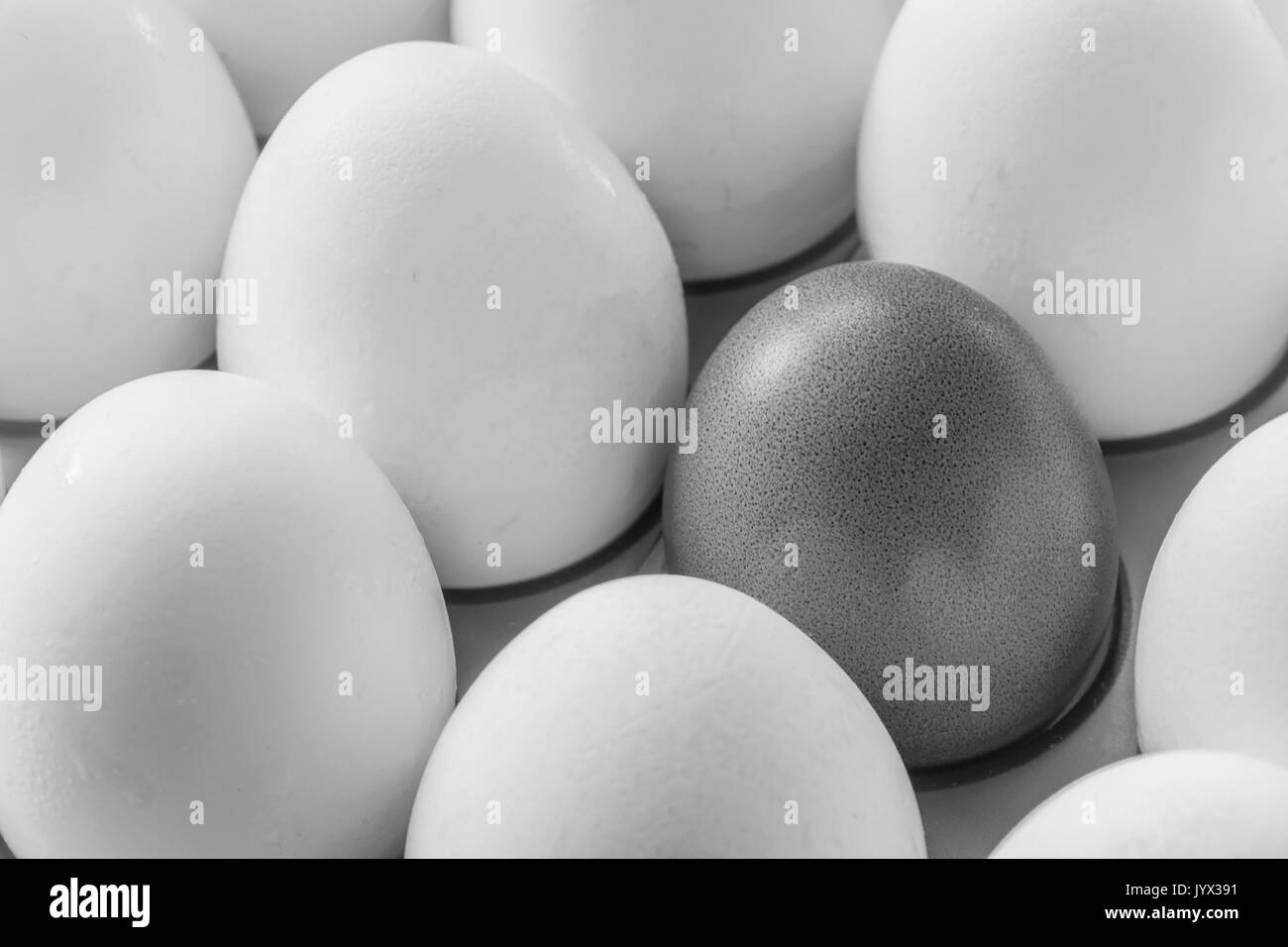 One brown egg in the middle of the white eggs Stock Photo Alamy