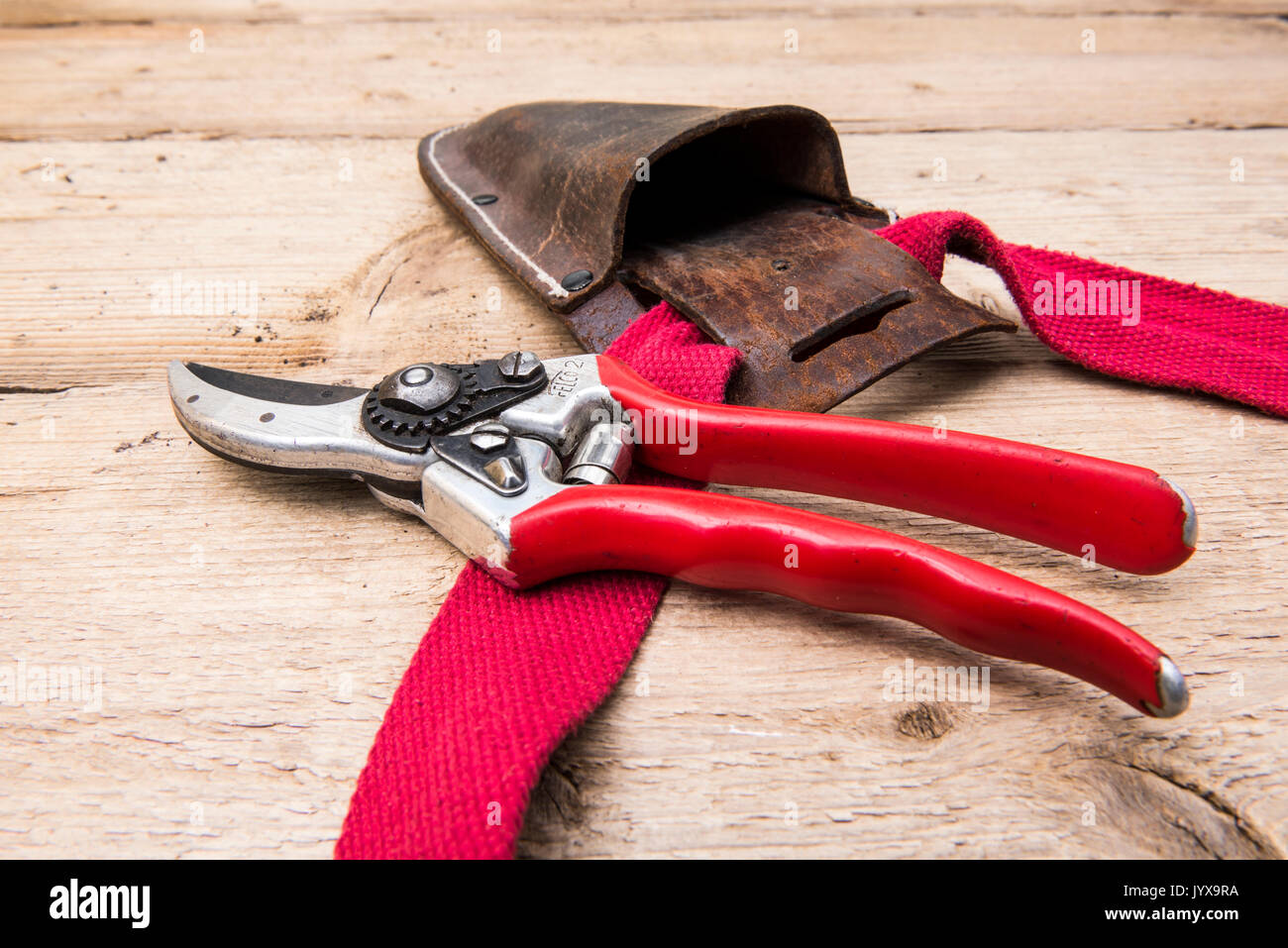 Secateurs Felco no 2, and leather holster with a red belt. Stock Photo
