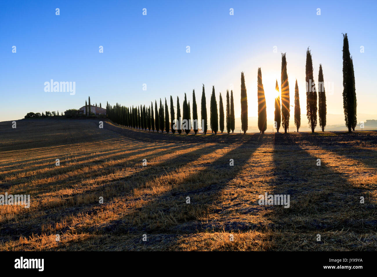 Tuscan landscape with cypress trees and farmstead at sunrise, dawn, San Quirico d'Orcia, Val d'Orcia, Tuscany, Italy Stock Photo