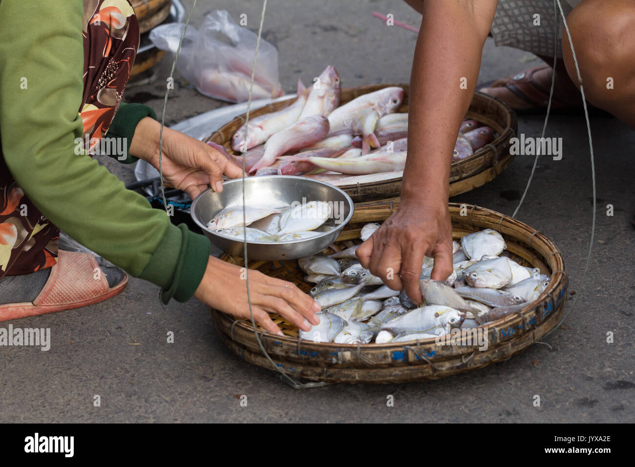 close up of hand taking fish at street market Stock Photo