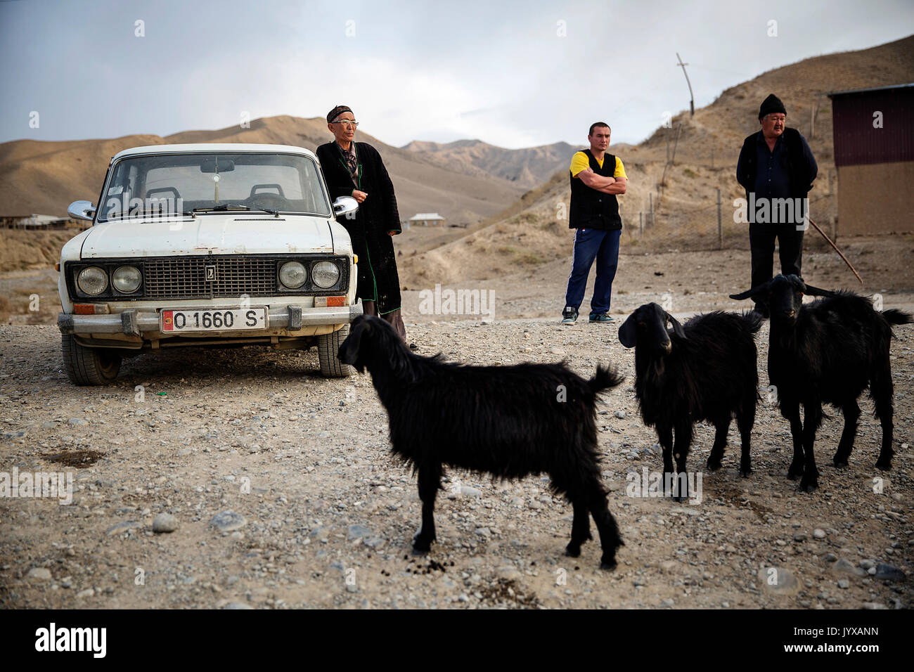 A shepherd in the village of Lyaily near Beshkent, Kyrgyzstan with some of his goats. Access to fresh water comes from a nearby river, but water delivery systems are lacking. Locals are hoping and planning for infrastructure project to bring clean water to their homes.  In villages across Kyrgyzstan (Central Asia) antiquated water delivery systems and infrastructure is the cause of health issues such as outbreaks of hepatitis and gastrointestinal disease, especially among children. Stock Photo