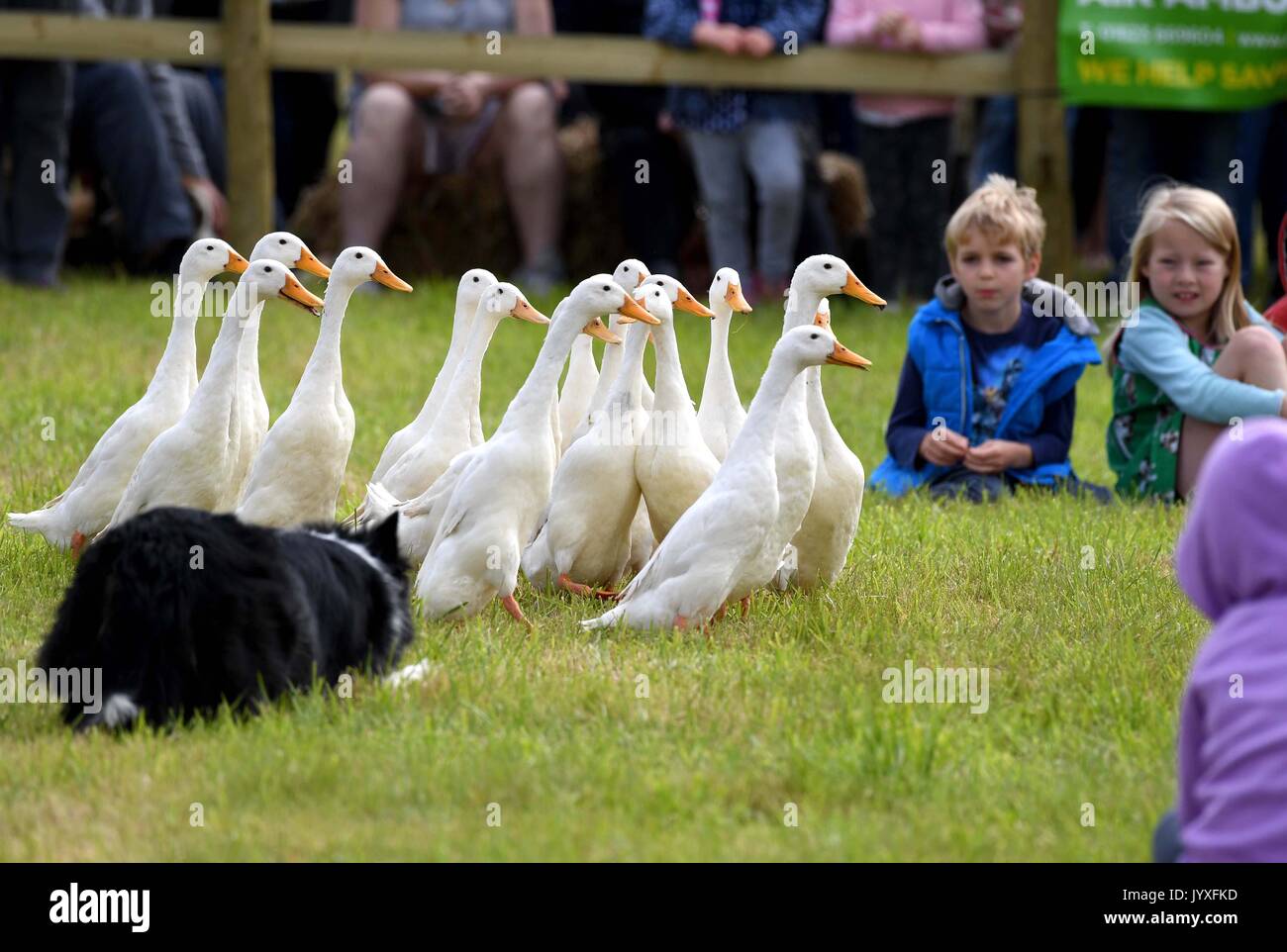 Buckham fair hires stock photography and images Alamy