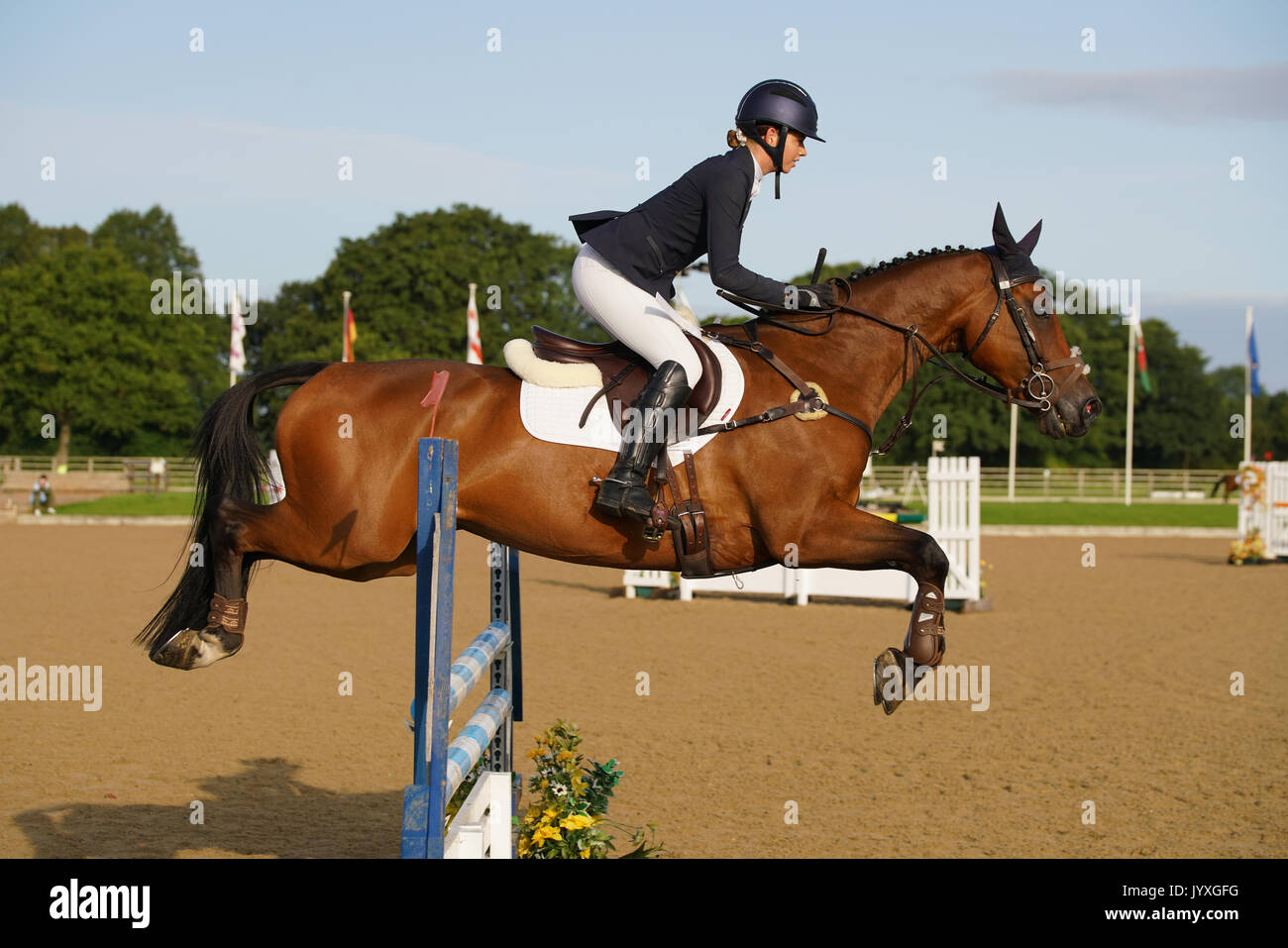 Congleton, UK. 20th Aug, 2017. Somerford Park International horse trials, Sunday, day 3, riders compete in the British eventing CIC* and CIC** Show jumping and cross country. Credit: Scott Carruthers/Alamy Live News Stock Photo