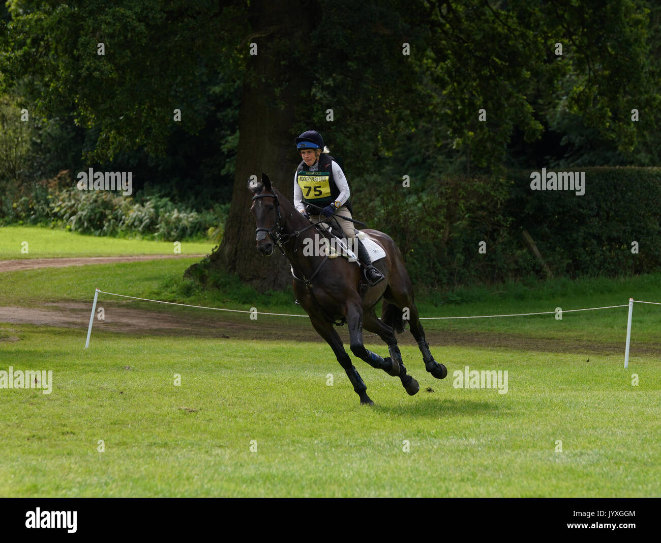 Congleton, UK. 20th Aug, 2017. Somerford Park International horse trials, Sunday, day 3, riders compete in the British eventing CIC* and CIC** Show jumping and cross country. Credit: Scott Carruthers/Alamy Live News Stock Photo