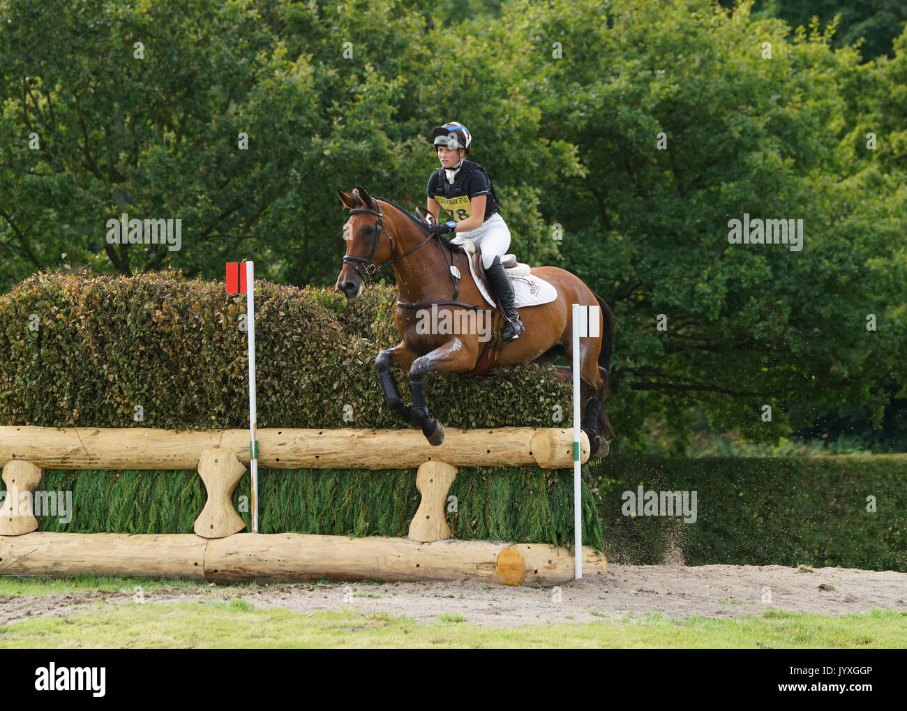 Congleton, UK. 20th Aug, 2017. Somerford Park International horse trials, Sunday, day 3, riders compete in the British eventing CIC* and CIC** Show jumping and cross country. Credit: Scott Carruthers/Alamy Live News Stock Photo