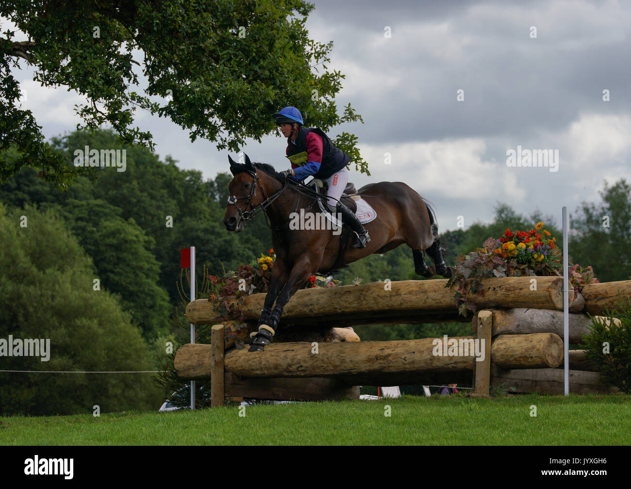 Congleton, UK. 20th Aug, 2017. Somerford Park International horse trials,  Sunday, day 3, riders compete in the Britsh eventing CIC* and CIC** Show jumping and cross country. Credit: Scott Carruthers/Alamy Live News Stock Photo