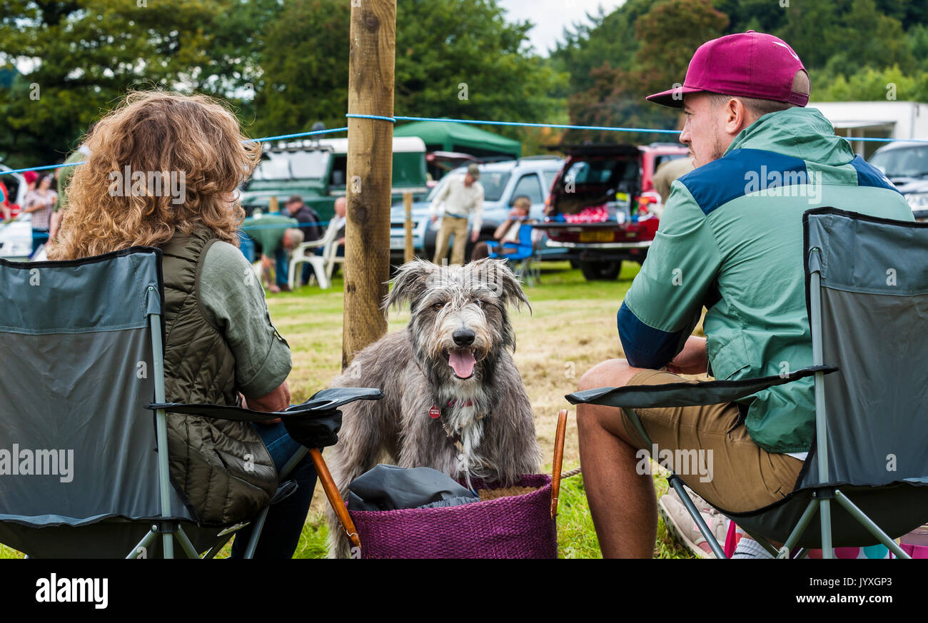 Holmesfield, Chesterfield, Derbyshire, UK.  20th August 2017.  The Barlow Hunt Annual Terrier, Lurcher & Family Dog Show at the hunt kennels was enjoyed by a number of supports and followers.  With the Family Dog Show being especially popular.   Credit:  Matt Limb OBE/Alamy Live News Stock Photo
