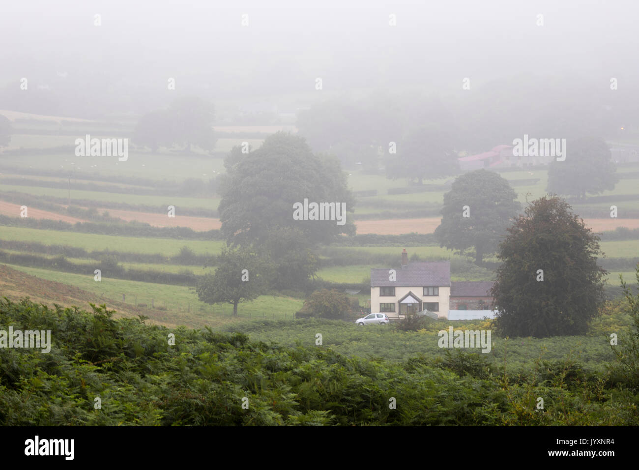 Flintshire, North Wales Weather. A foggy start for parts of the UK