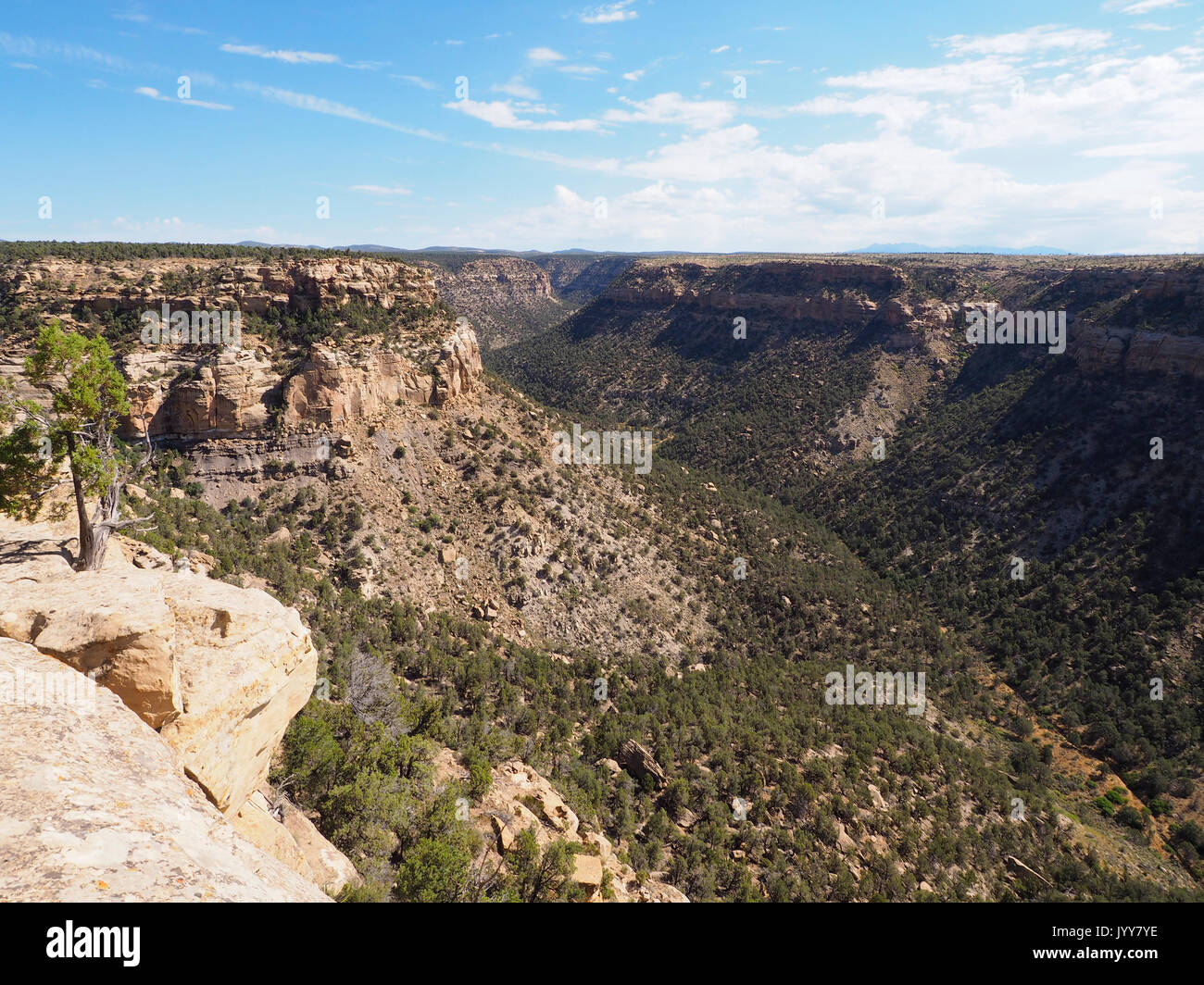Scenic view from the Mesa Verde elevated plateau across the Mesa Verde tableland and canyon. Stock Photo