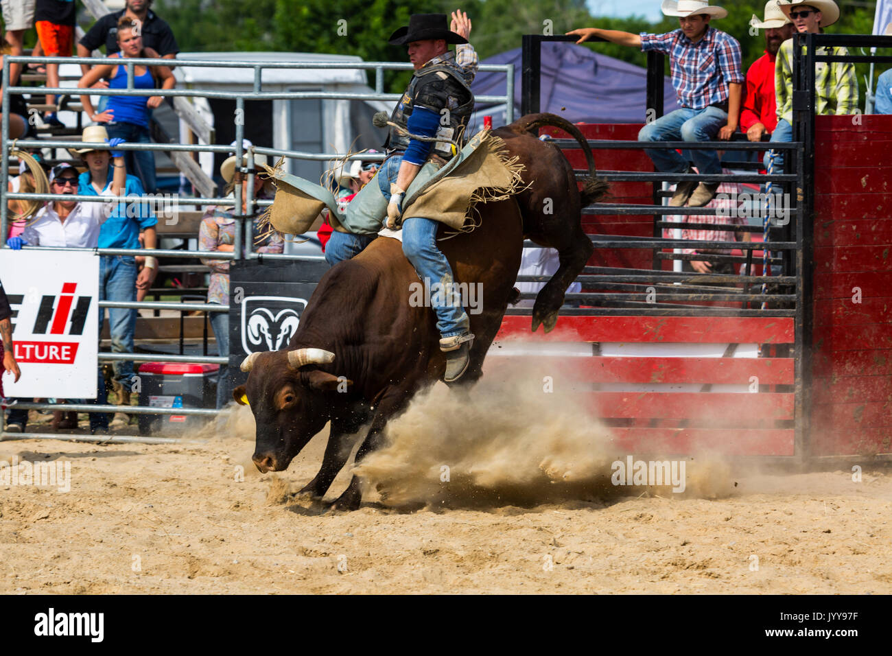 Ontario Rodeo Bull Riding Exeter RAM Rodeo Exeter Ontario Canada Aug 2017. Bull riding Stock ...