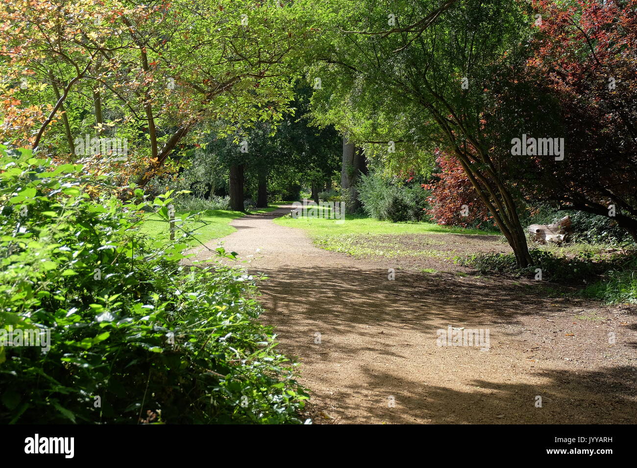 Buhsy park hi-res stock photography and images - Alamy
