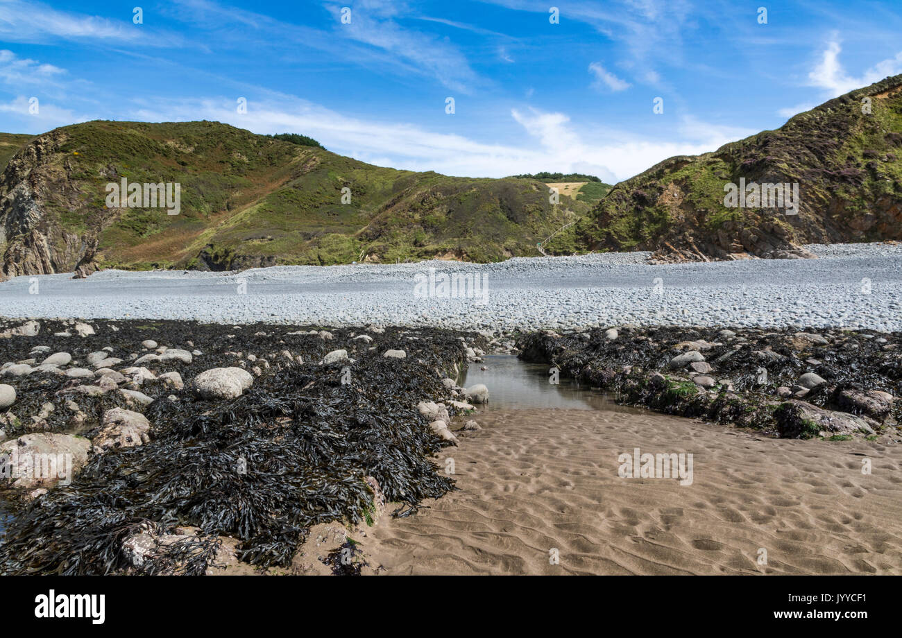 Babbacombe Cliff and Beach at Low Tide. South West Coast Path, Near Bucks Mills, North Devon, England, Stock Photo
