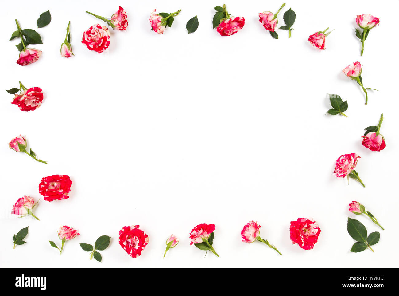 Frame made roses white Cut Out Stock Images Pictures Alamy