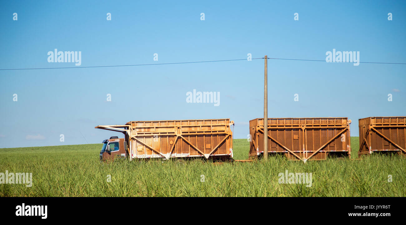 sugar cane transporter Stock Photo