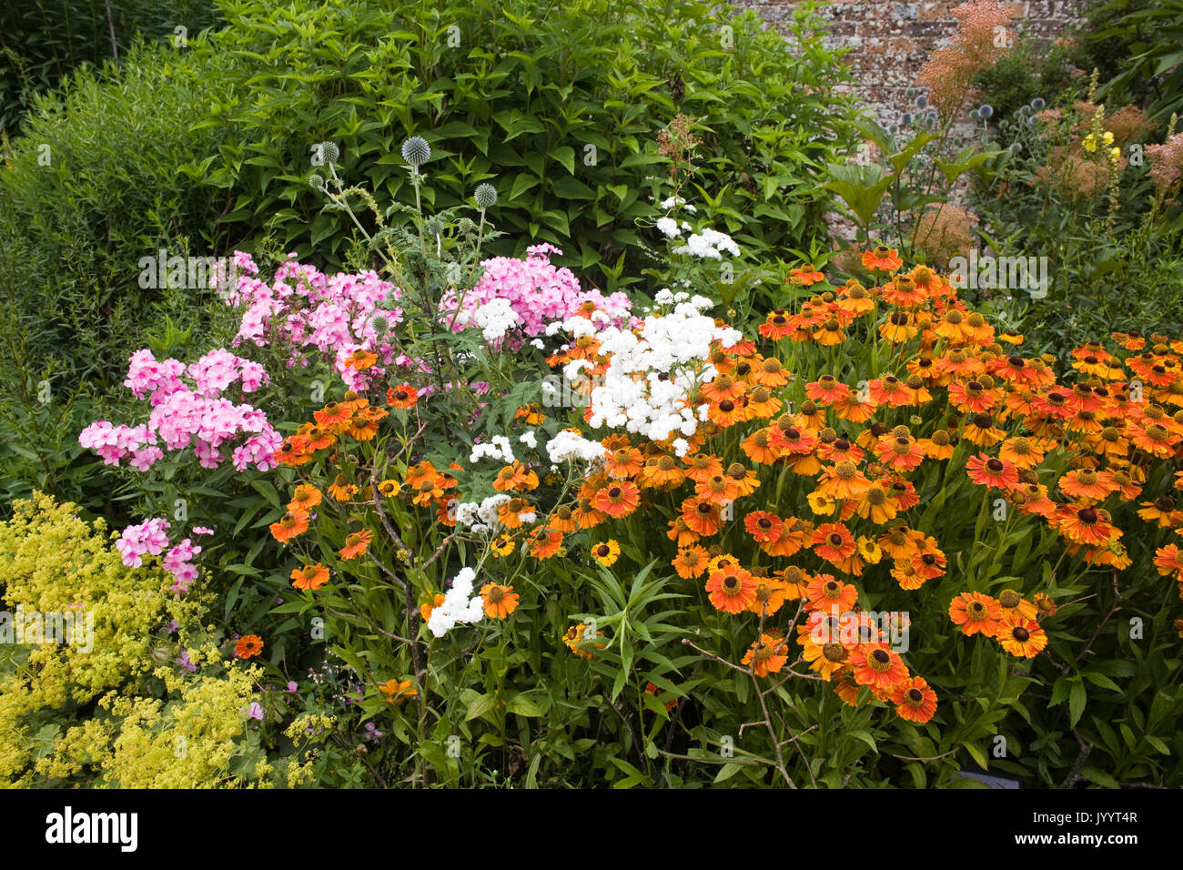 Bordering plants hi-res stock photography and images - Alamy
