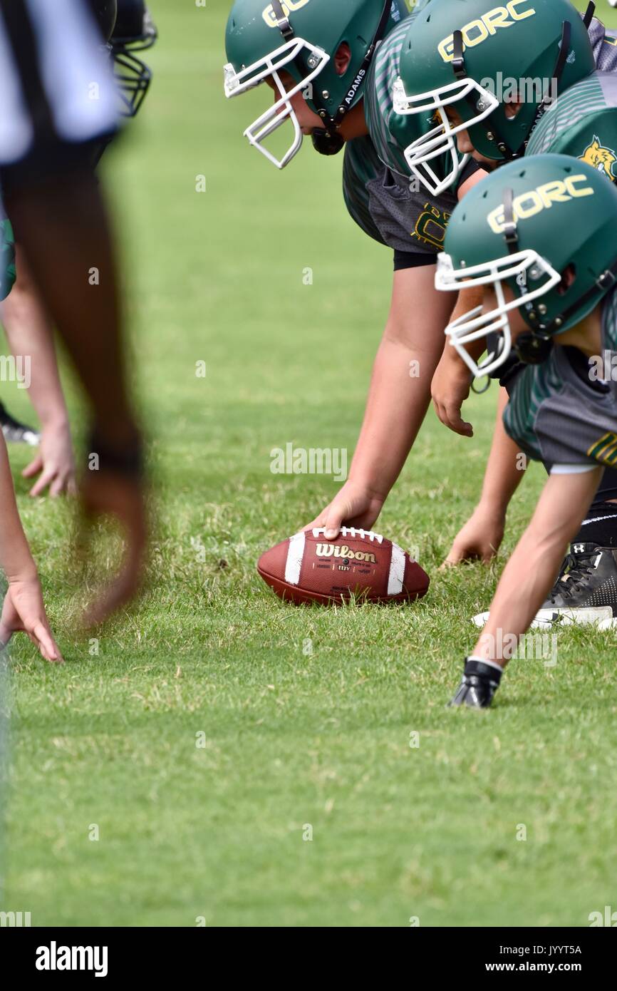 American Sports Program