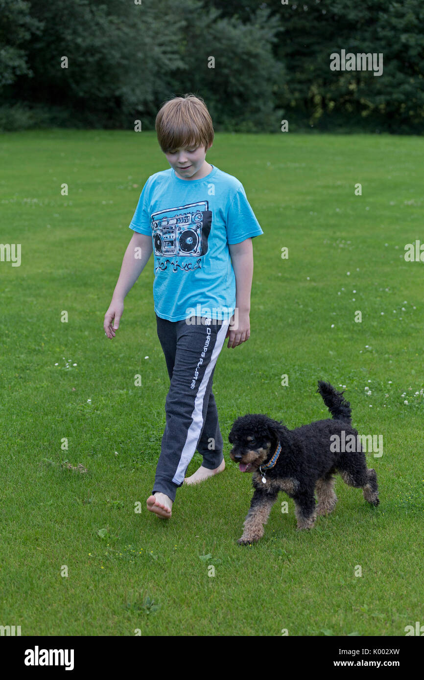 young boy making dog walk beside himself Stock Photo