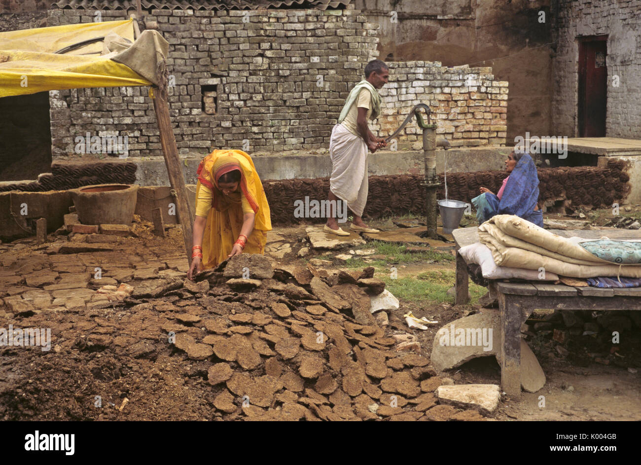 Dung patties used for fuel, Varanasi (Benares, Banaras, Kashi), India Stock Photo