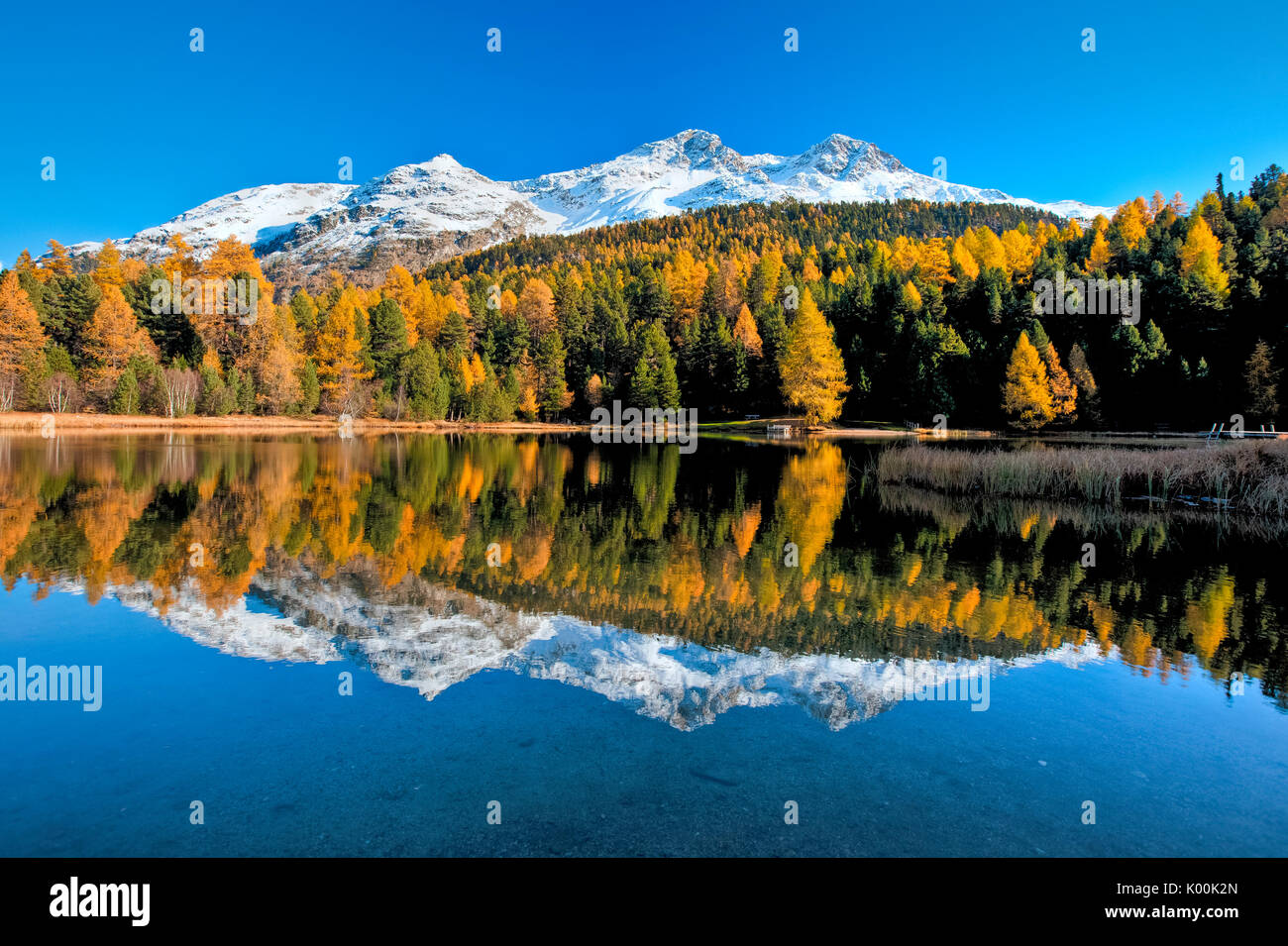 Autumn mirrored in the calm waters of Lej Marsch in the Upper Engadine. Saint Moritz. Grisons Switzerland. Europe Stock Photo