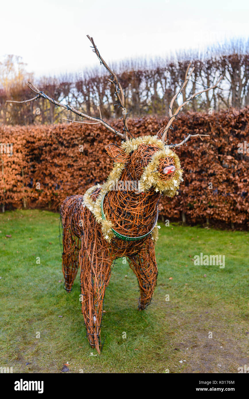Rudolph the red nosed reindeer made from willow and branches Stock Photo