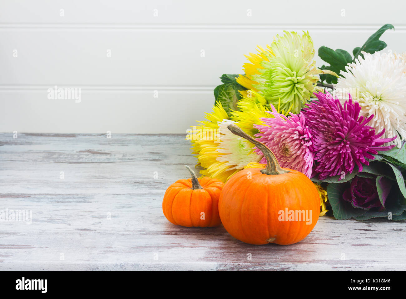 Colorful autumn display mums pumpkins hi-res stock photography and ...
