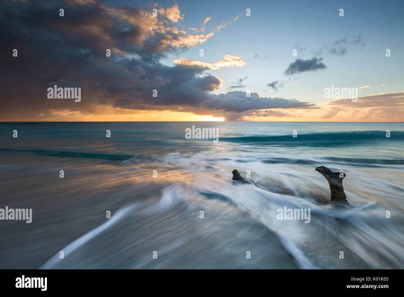 The waves and caribbean sunset frames tree trunks on Ffryers Beach Antigua and Barbuda Leeward Islands West Indies Stock Photo