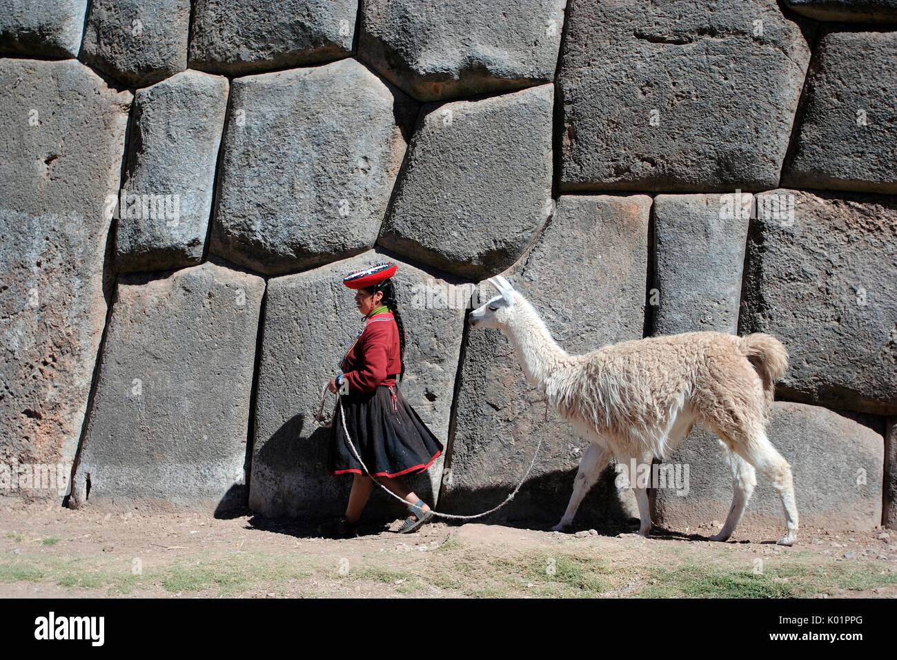 Llama sacsayhuaman peru hi-res stock photography and images - Alamy