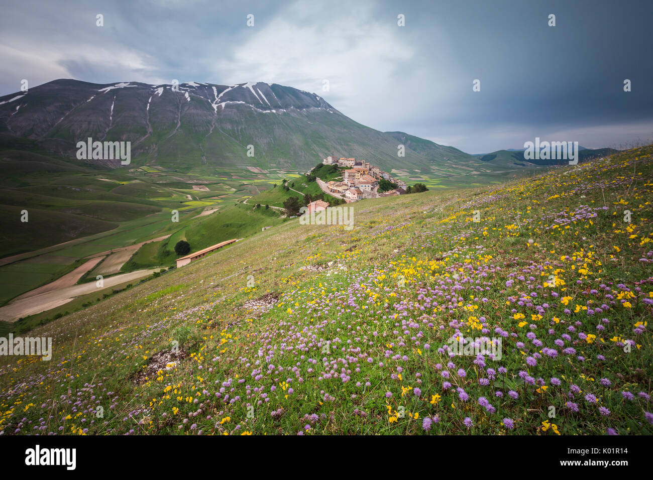 Colorful flowers in bloom frame the medieval village Castelluccio di Norcia Province of Perugia Umbria Italy Europe Stock Photo