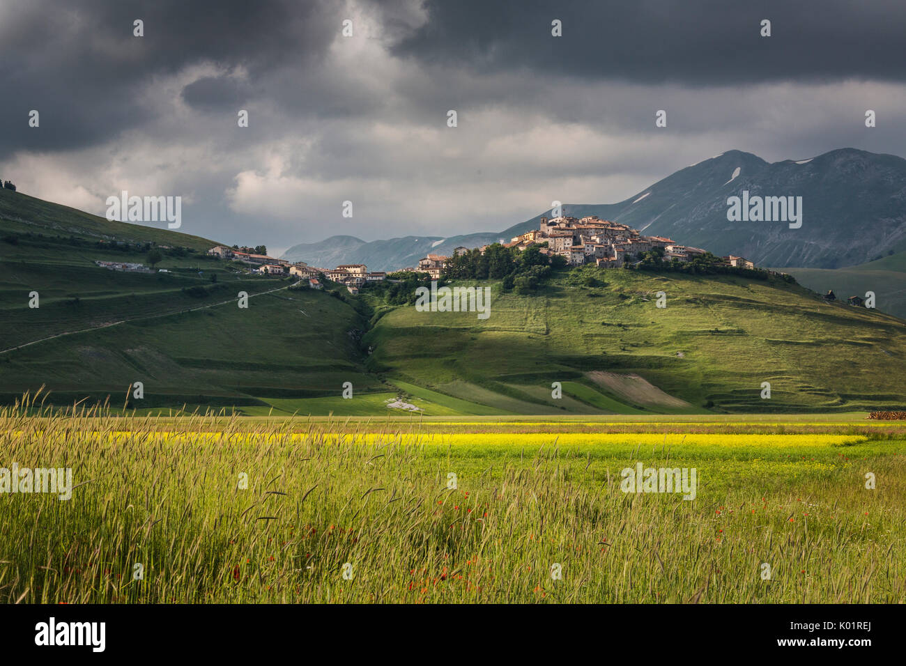Green fields of ears of corn frame the medieval village Castelluccio di Norcia Province of Perugia Umbria Italy Europe Stock Photo