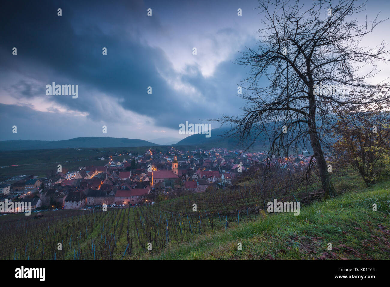 Alsace vineyard winter hires stock photography and images Alamy
