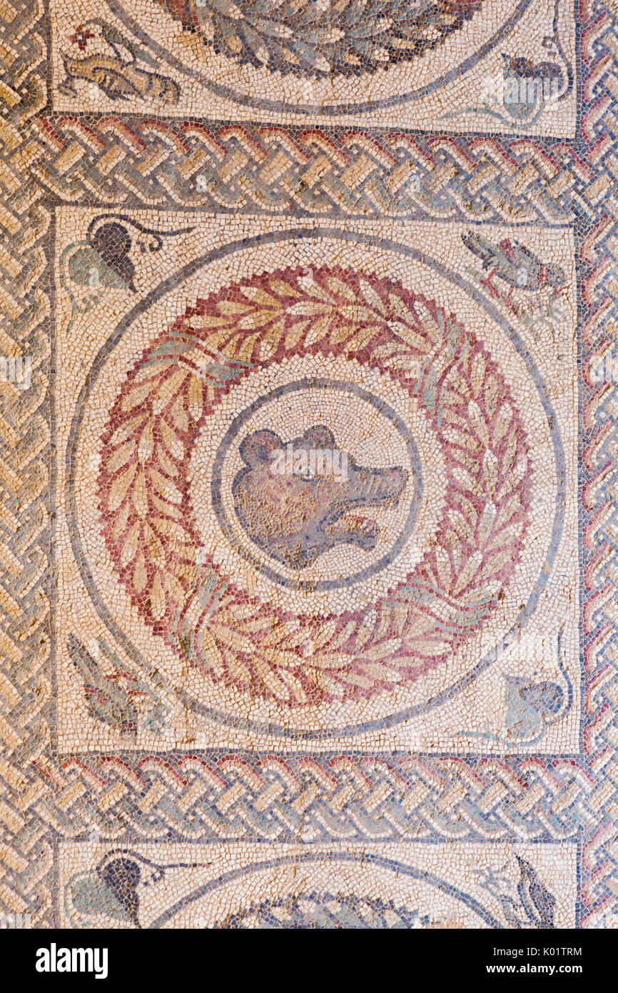 Roman Shell Ancient roman mosaics in the archeological site of Villa Romana del ...