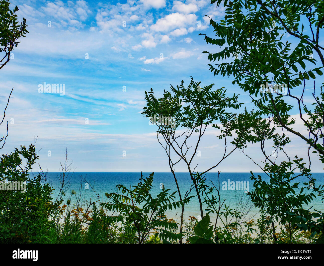 Staghorn sumac and Lake Michigan at Lion's Den Nature Preserve